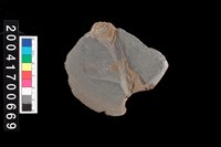 藏品(石斧)的圖片