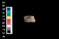 藏品(石鏃)的圖片