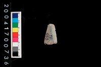 藏品(石鏃)的圖片