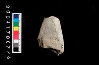 藏品(石鏃)的圖片