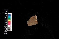 藏品(石鏃)的圖片