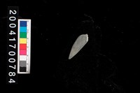 藏品(石鏃)的圖片