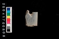 藏品(石刀)的圖片