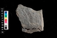 藏品(石材)的圖片