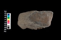 藏品(石斧)的圖片