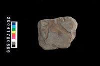 藏品(刮削器)的圖片