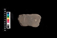 藏品(石錘兼砥石)的圖片