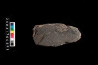 藏品(石斧)的圖片