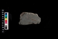 藏品(石錘)的圖片