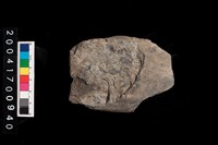 藏品(磨製石斧)的圖片