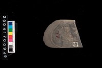 藏品(石斧)的圖片