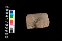 藏品(石斧)的圖片