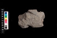 藏品(石斧)的圖片