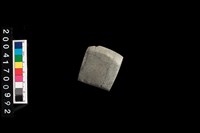 藏品(石錛)的圖片