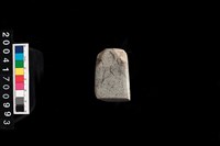 藏品(石錛)的圖片