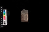 藏品(石錛)的圖片