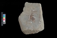 藏品(石犁)的圖片