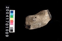 藏品(刮削器)的圖片