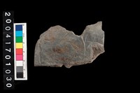 藏品(石斧)的圖片