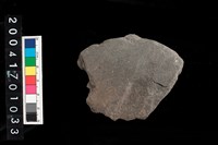 藏品(刮削器)的圖片