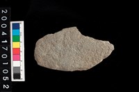 藏品(刮削器)的圖片