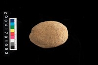 藏品(石錘)的圖片