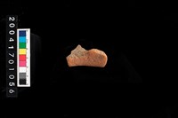 藏品(罐口)的圖片