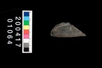 藏品(石刀)的圖片