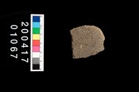 藏品(磨製石斧)的圖片