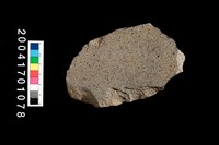 藏品(刮削器?)的圖片