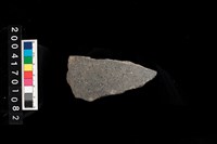 藏品(磨製石斧)的圖片