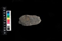 藏品(石錘)的圖片