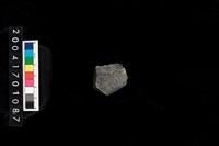 藏品(巴圖殘件?)的圖片