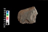 藏品(磨製石斧)的圖片