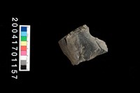 藏品(磨製石斧)的圖片