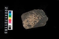 藏品(石斧)的圖片