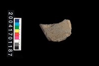 藏品(石斧)的圖片