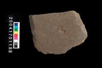 藏品(石斧)的圖片