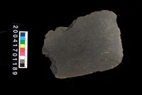 藏品(磨製石斧)的圖片