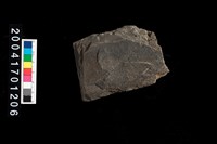 藏品(石鋤)的圖片