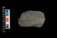 藏品(石錘)的圖片