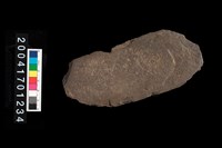 藏品(石錘)的圖片