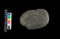 藏品(石錘)的圖片