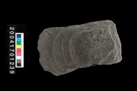 藏品(磨製石斧)的圖片