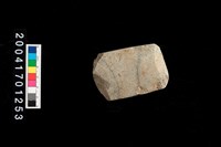 藏品(石錛)的圖片