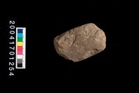 藏品(石錛)的圖片