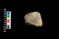 藏品(石錛)的圖片