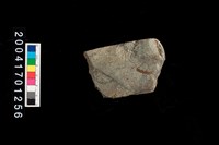 藏品(石錛)的圖片