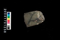 藏品(石錛)的圖片