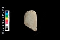 藏品(石錛)的圖片